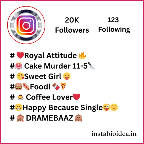  Instagram Bio For Girls