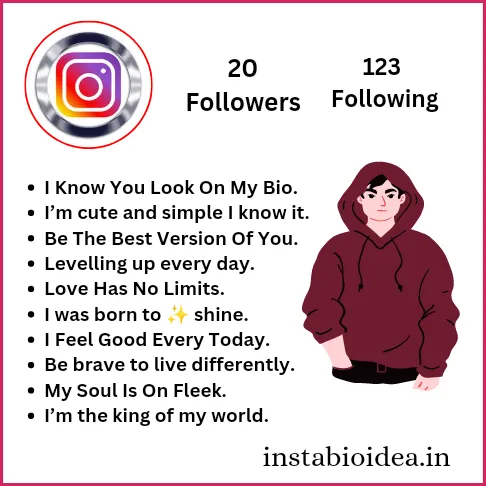 Instagram Bio For Boys 