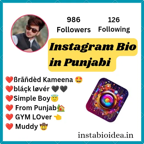 Instagram Bio In Punjabi