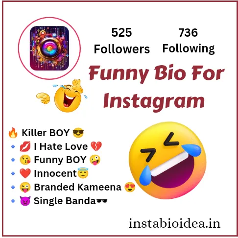 Funny Bio For Instagram