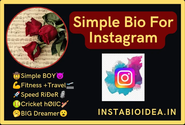 200+ Instagram Bio Ideas You Can Copy and Paste (2024)